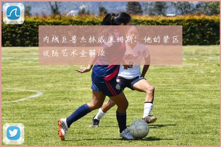 内线巨兽杰林威廉姆斯:他的禁区攻防艺术全解读