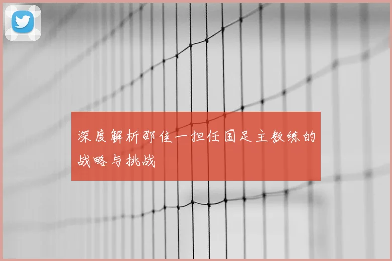 深度解析邵佳一担任国足主教练的战略与挑战