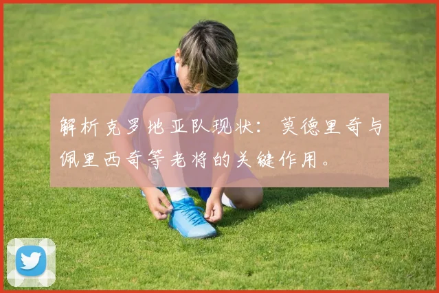 解析克罗地亚队现状：莫德里奇与佩里西奇等老将的关键作用。